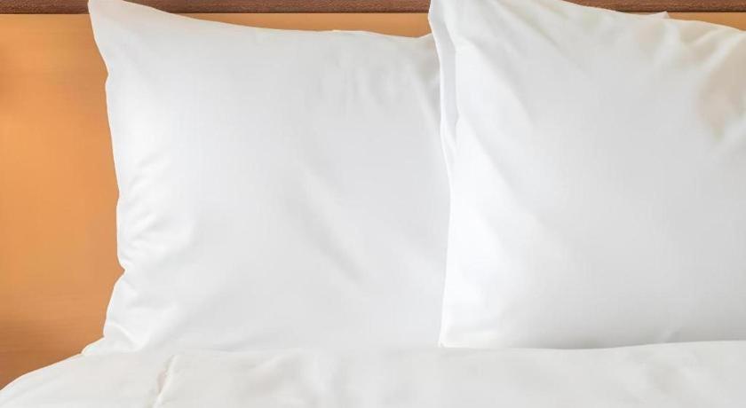 Radisson Hotel Austin - University מראה חיצוני תמונה